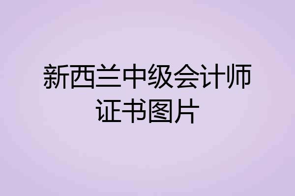 新西兰中级会计师证书图片