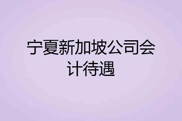 宁夏新加坡公司会计待遇