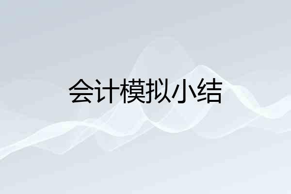 会计模拟小结