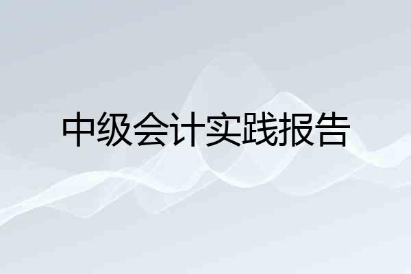 中级会计实践报告