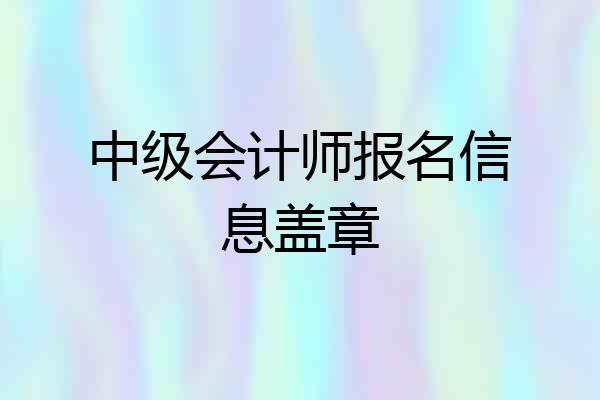 中级会计师报名信息盖章