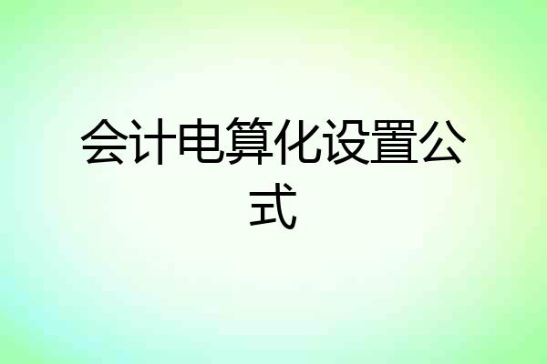 会计电算化设置公式
