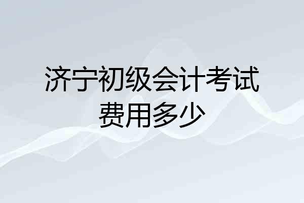 济宁初级会计考试费用多少