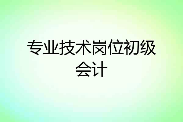 专业技术岗位初级会计