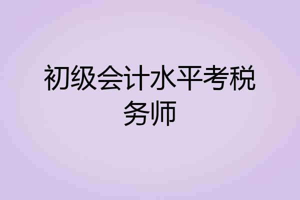 初级会计水平考税务师