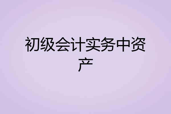 初级会计实务中资产