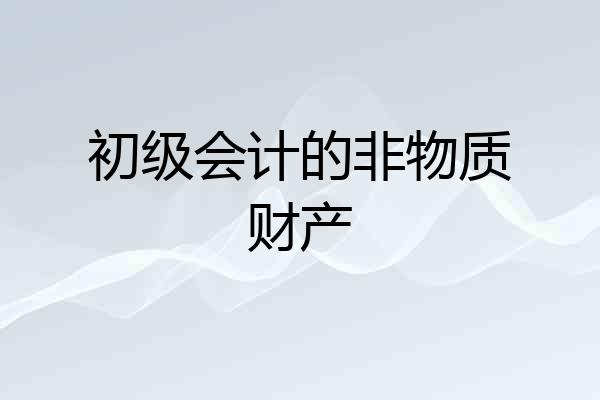 初级会计的非物质财产