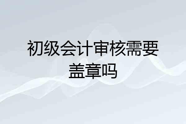 初级会计审核需要盖章吗