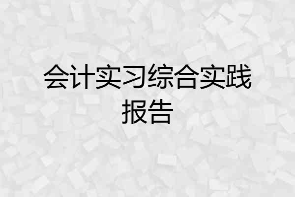 会计实习综合实践报告
