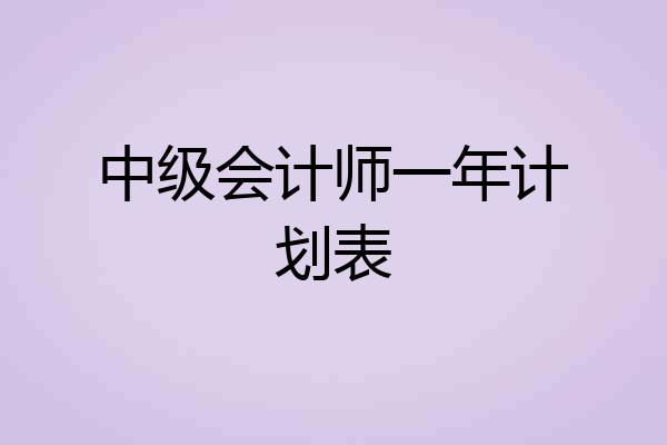 中级会计师一年计划表