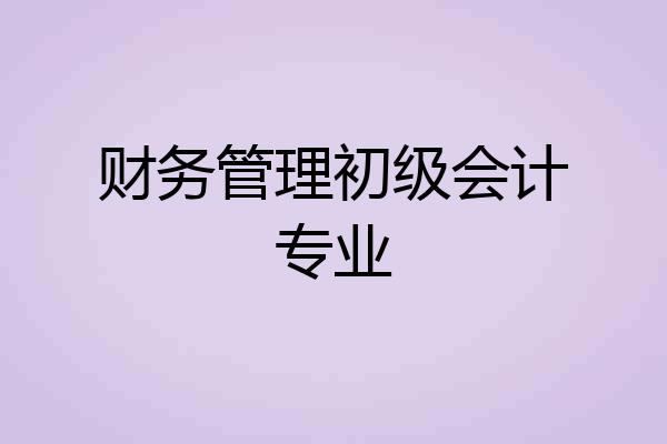财务管理初级会计专业
