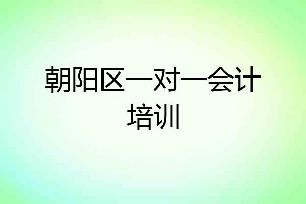 朝阳区一对一会计培训