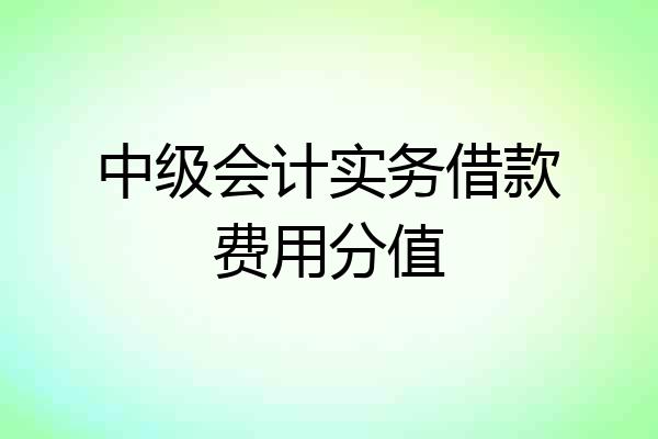 中级会计实务借款费用分值