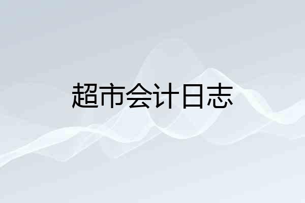超市会计日志