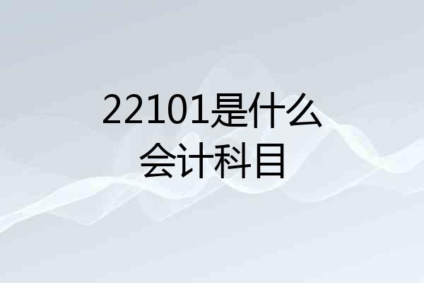 22101是什么会计科目