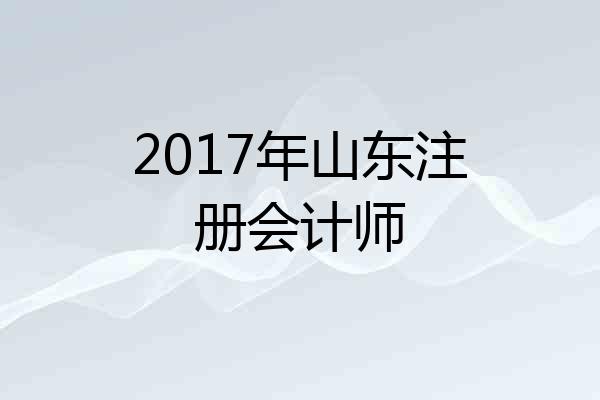 2017年山东注册会计师