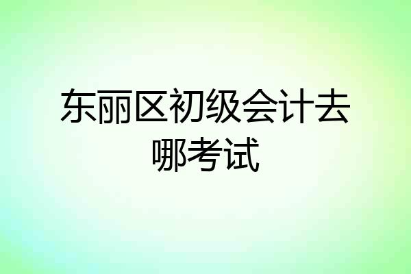 东丽区初级会计去哪考试