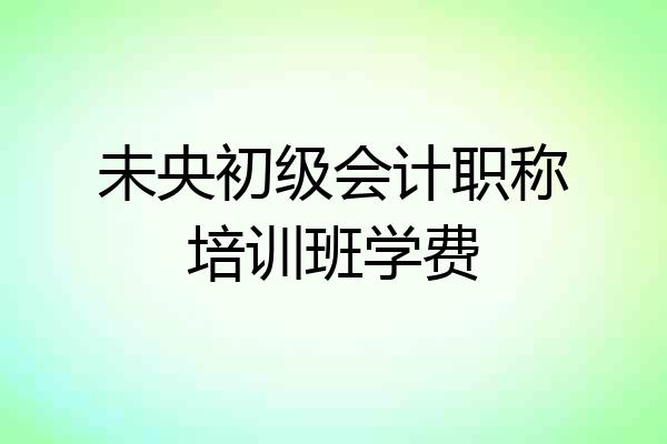 未央初级会计职称培训班学费