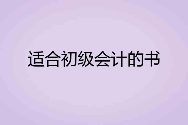 适合初级会计的书