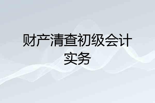 财产清查初级会计实务