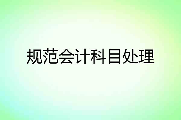 规范会计科目处理