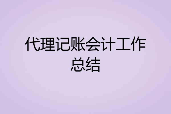 代理记账会计工作总结