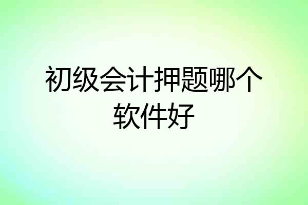 初级会计押题哪个软件好