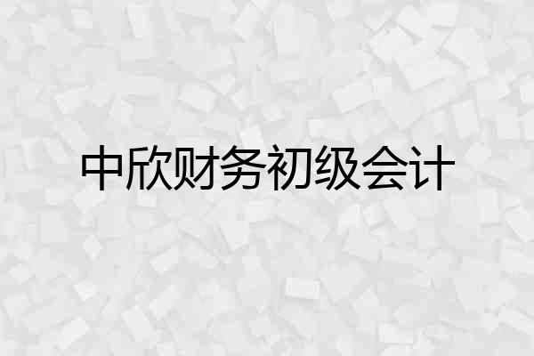 中欣财务初级会计