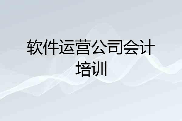 软件运营公司会计培训