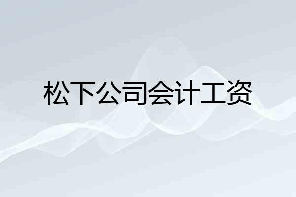 松下公司会计工资