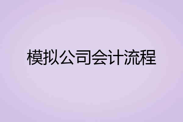 模拟公司会计流程