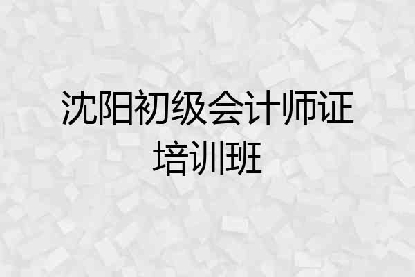 沈阳初级会计师证培训班