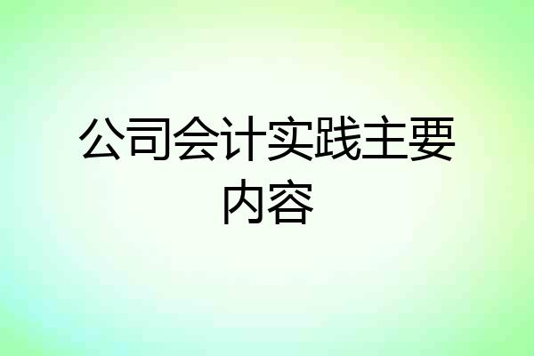 公司会计实践主要内容