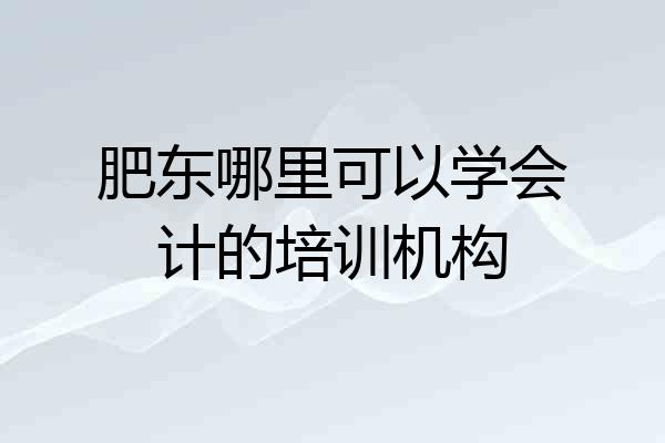 肥东哪里可以学会计的培训机构