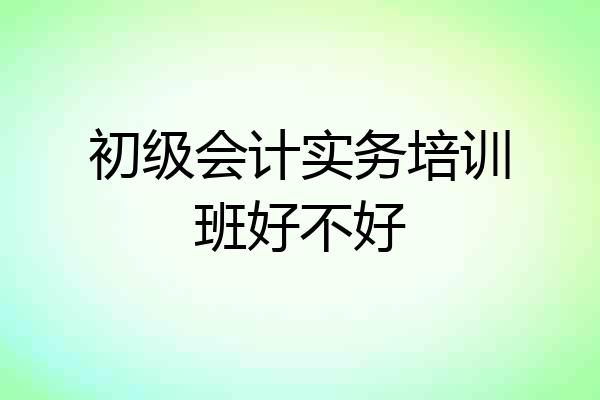 初级会计实务培训班好不好