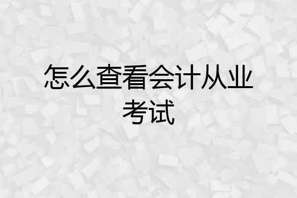 怎么查看会计从业考试