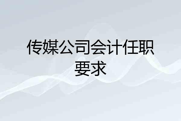 传媒公司会计任职要求