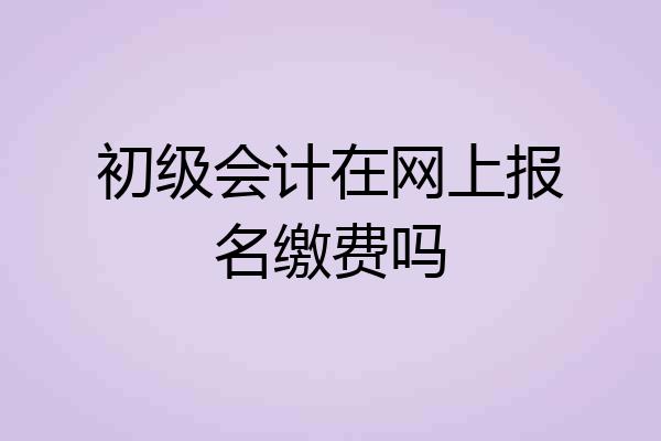 初级会计在网上报名缴费吗