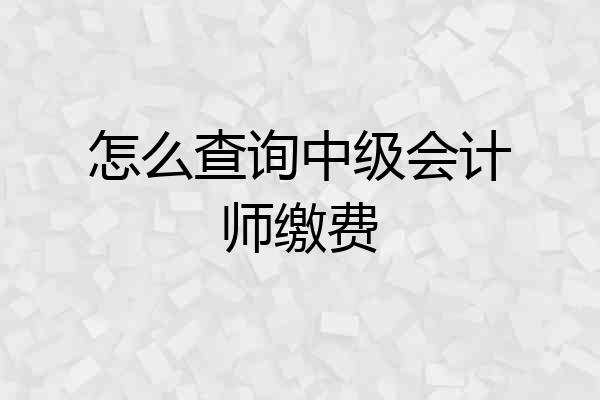 怎么查询中级会计师缴费