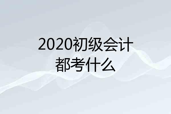 2020初级会计都考什么