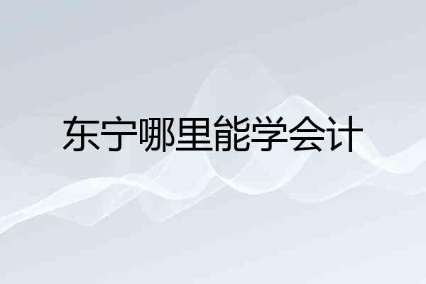 东宁哪里能学会计