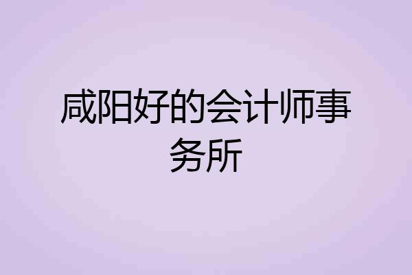 咸阳好的会计师事务所
