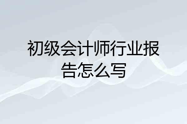 初级会计师行业报告怎么写