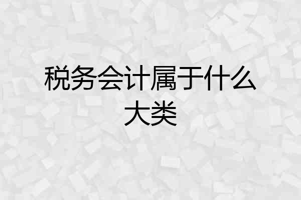 税务会计属于什么大类