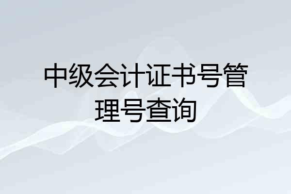 中级会计证书号管理号查询