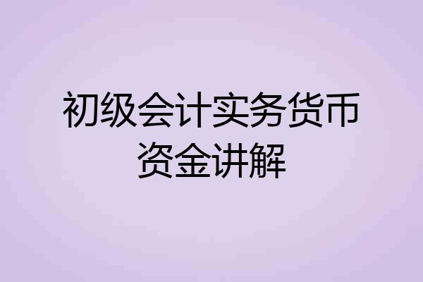 初级会计实务货币资金讲解