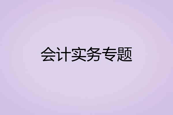 会计实务专题
