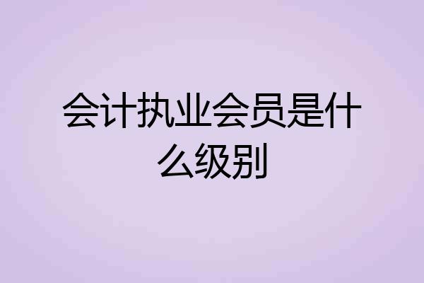 会计执业会员是什么级别