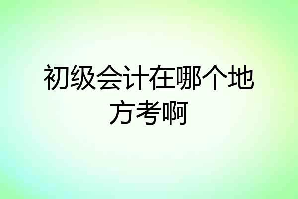 初级会计在哪个地方考啊