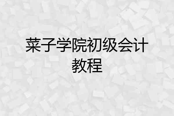 菜子学院初级会计教程